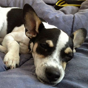 Meet your Posher, Tracy